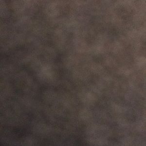 Meet your Posher, Mindi